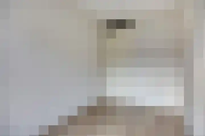 Snellenshof 5 Breda thumbnail 23