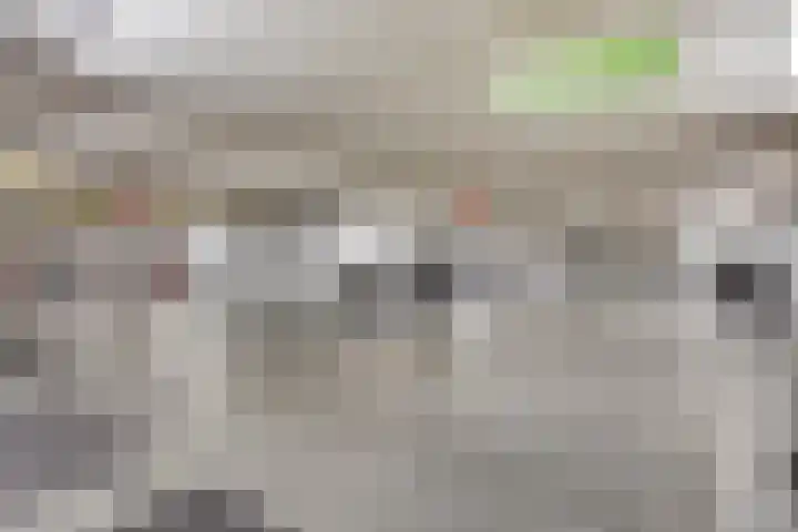 Snellenshof 5 Breda thumbnail 37