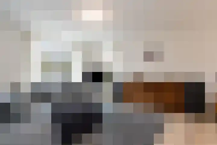 Snellenweer 12 Werkendam thumbnail 16