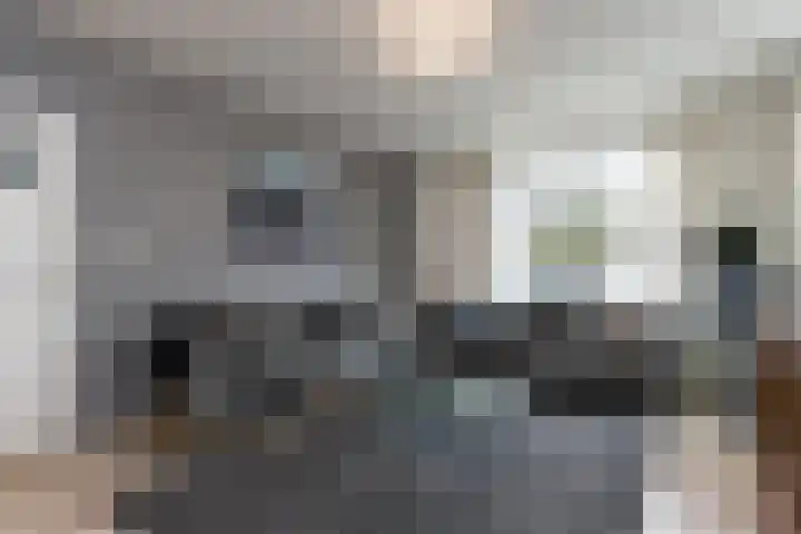 Snellenweer 12 Werkendam thumbnail 18