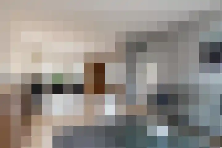 Snellenweer 12 Werkendam thumbnail 19