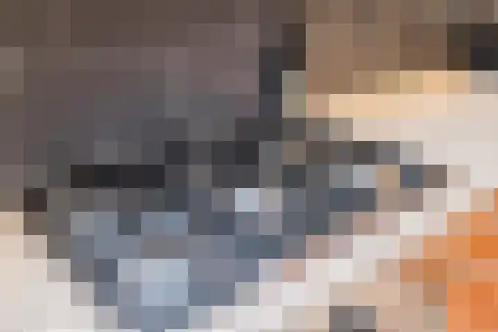 Snellenweer 12 Werkendam thumbnail 30