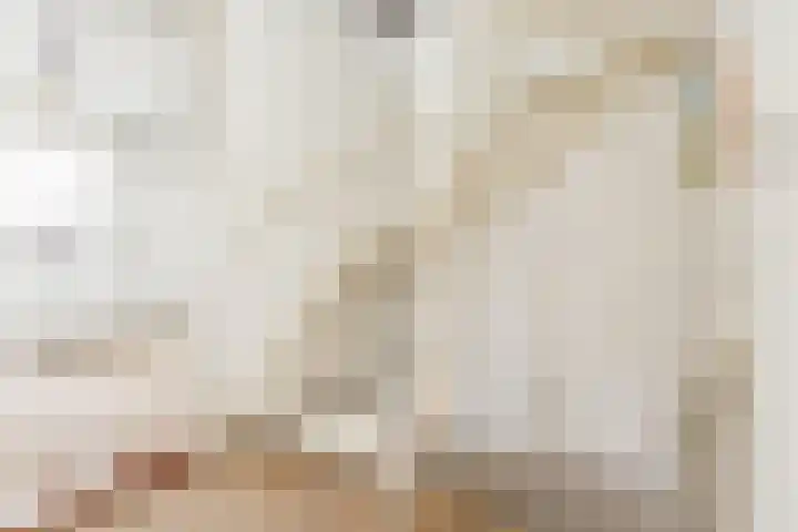 Snellenweer 12 Werkendam thumbnail 32
