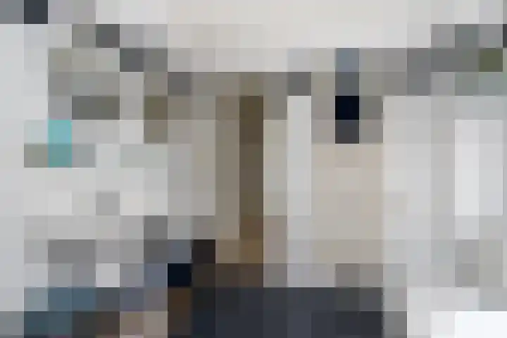 Snellenweer 12 Werkendam thumbnail 37