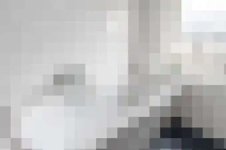 Snellenweer 12 Werkendam thumbnail 38