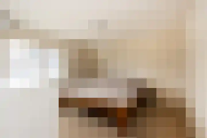 Snellenweer 12 Werkendam thumbnail 40