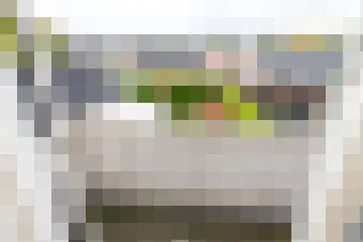 Snellenweer 12 Werkendam thumbnail 48