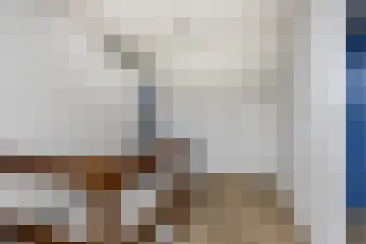 Snellenweer 12 Werkendam thumbnail 49