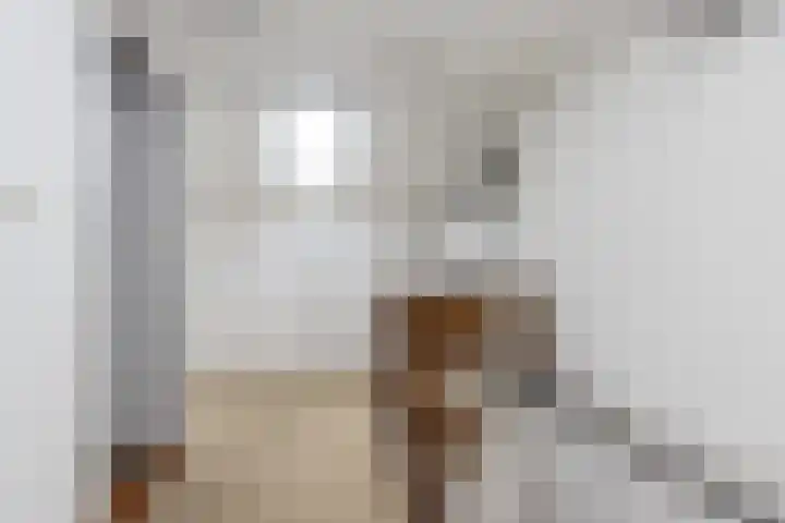 Snellenweer 12 Werkendam thumbnail 50
