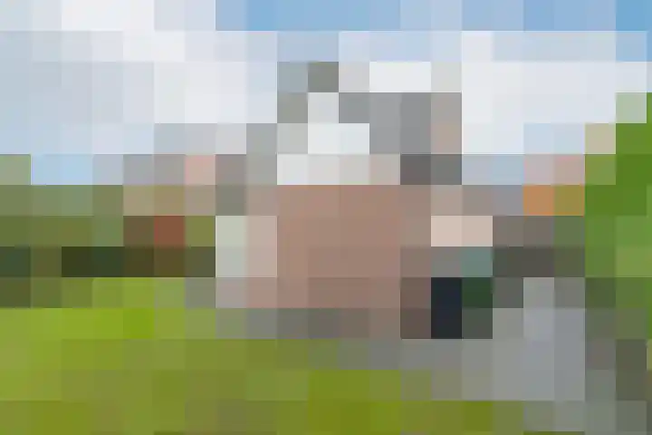 Snellenweer 12 Werkendam thumbnail 55