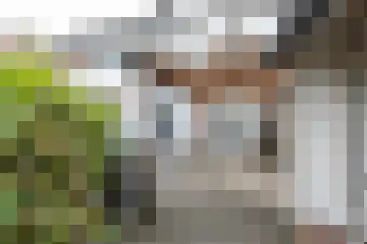 Snellenweer 12 Werkendam thumbnail 56
