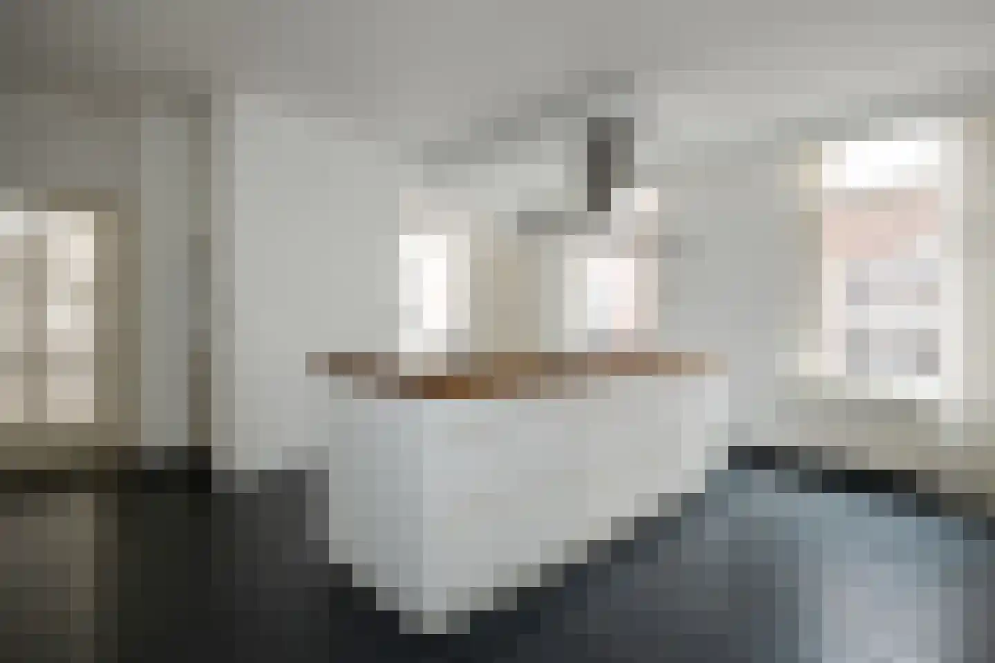 Snellestraat 2 's-Hertogenbosch thumbnail 14