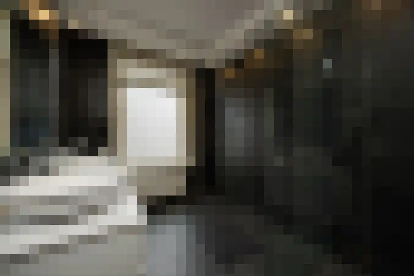 Snellestraat 2 's-Hertogenbosch thumbnail 27