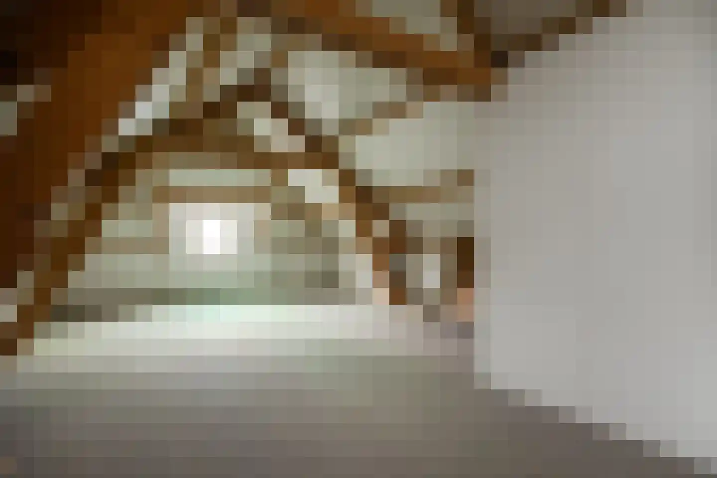 Snellestraat 2 's-Hertogenbosch thumbnail 36