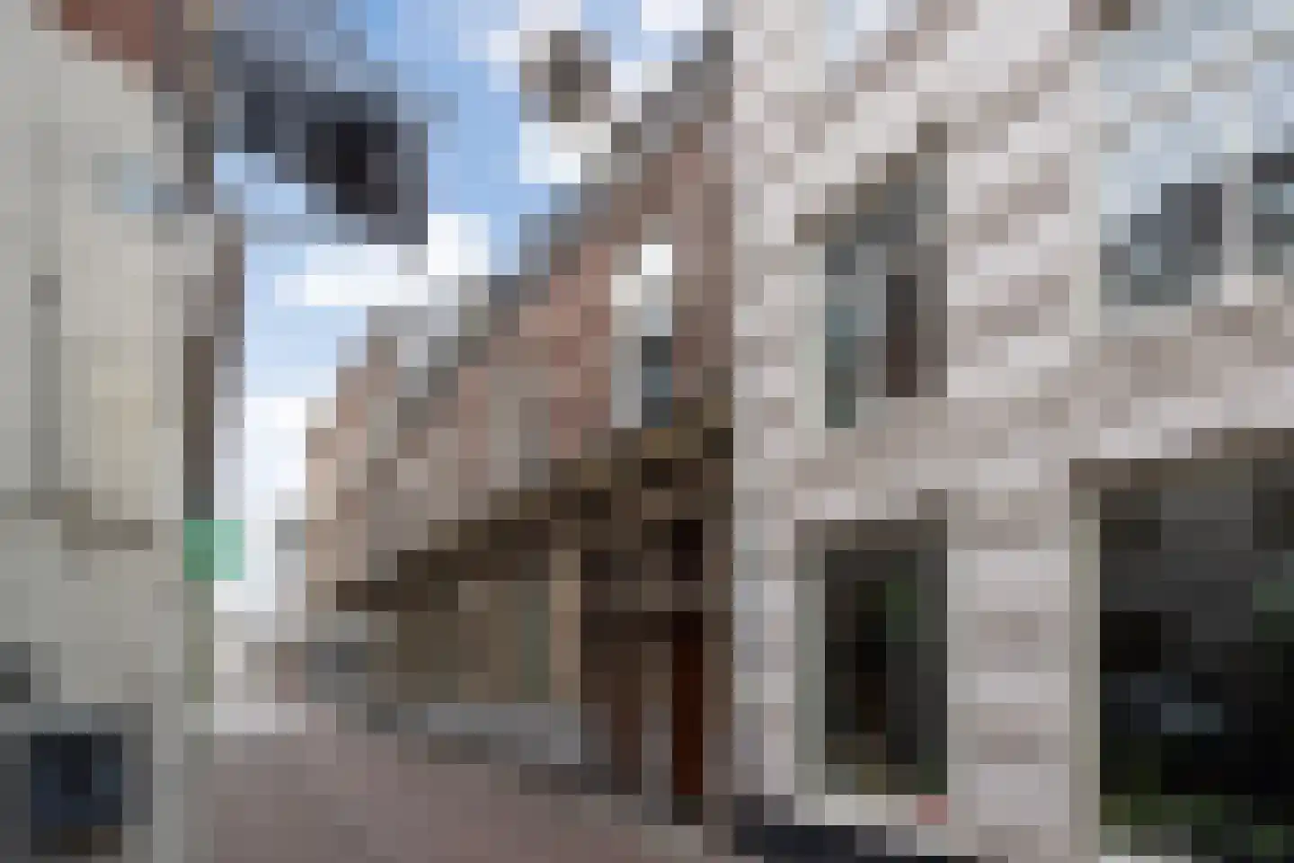 Snellestraat 2 's-Hertogenbosch thumbnail 40
