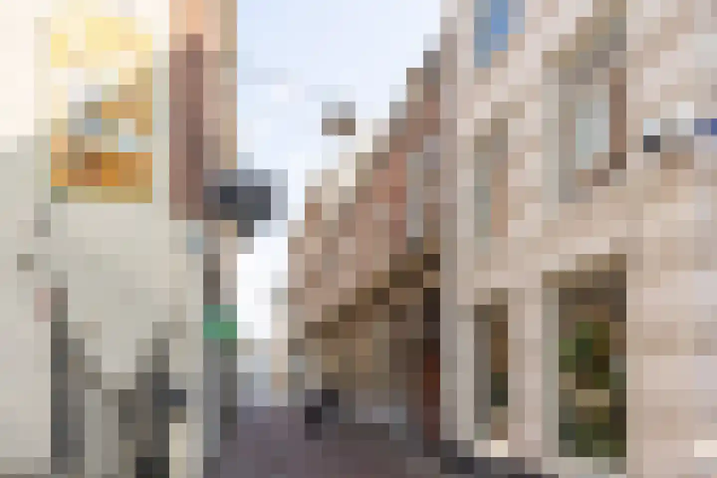 Snellestraat 2 's-Hertogenbosch thumbnail 41