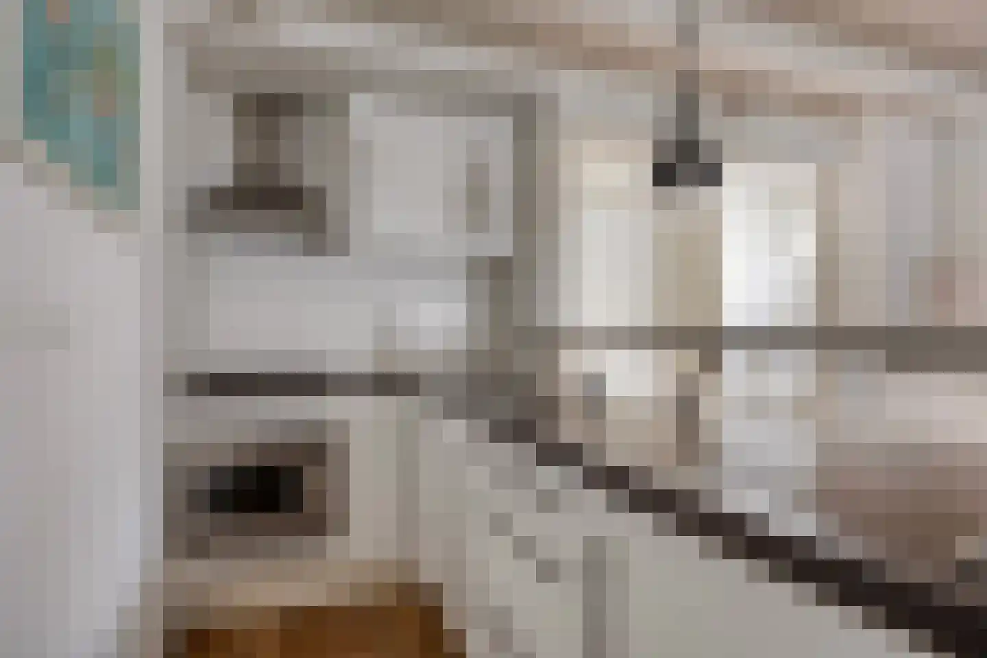 Snellestraat 21 A 's-Hertogenbosch thumbnail 11