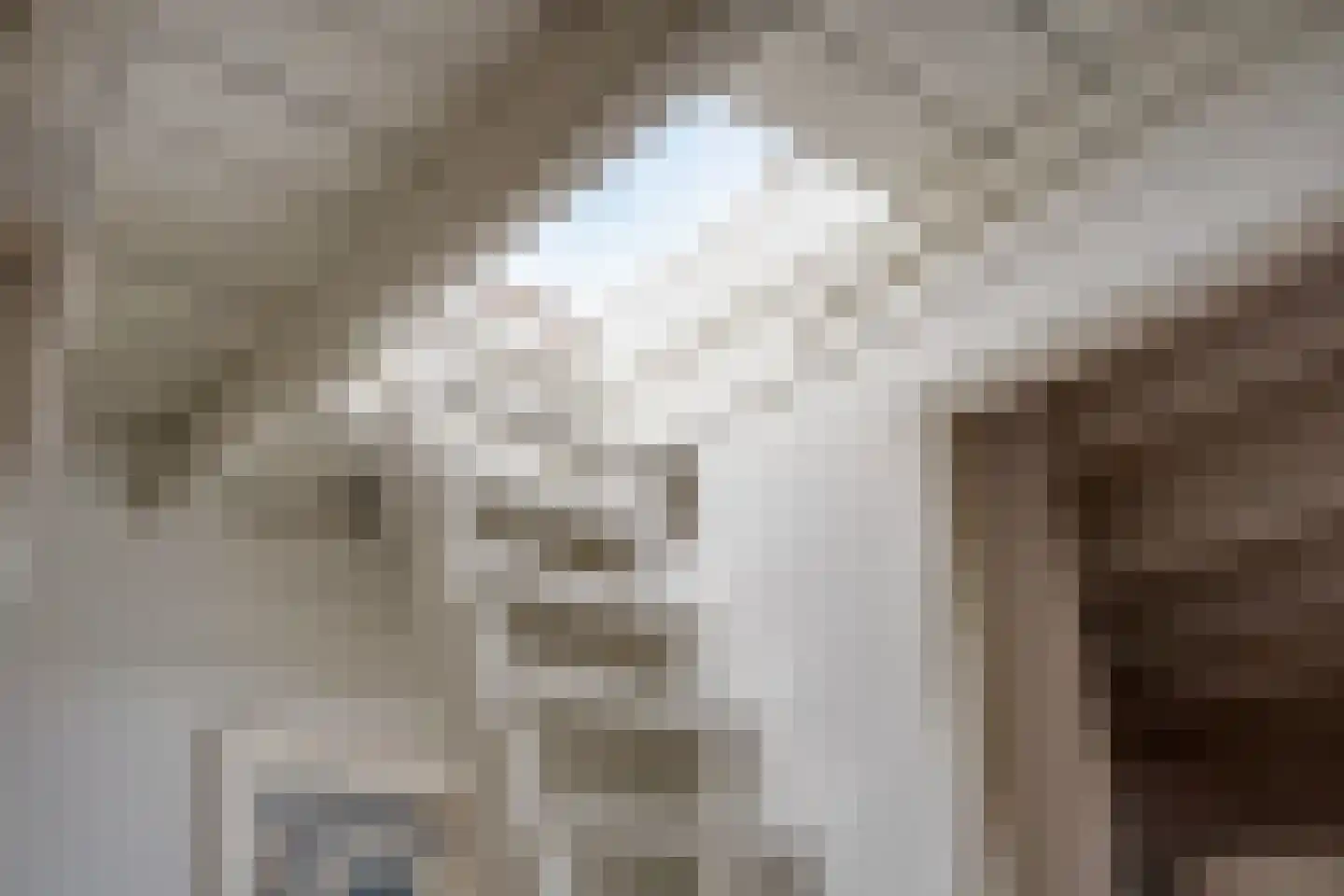 Snellestraat 21 A 's-Hertogenbosch thumbnail 16