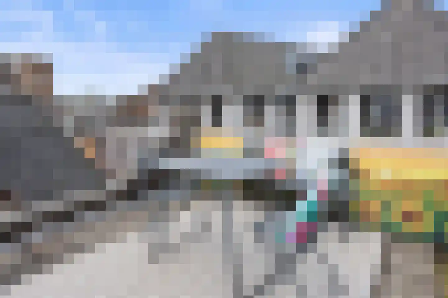 Snellestraat 21 A 's-Hertogenbosch thumbnail 19