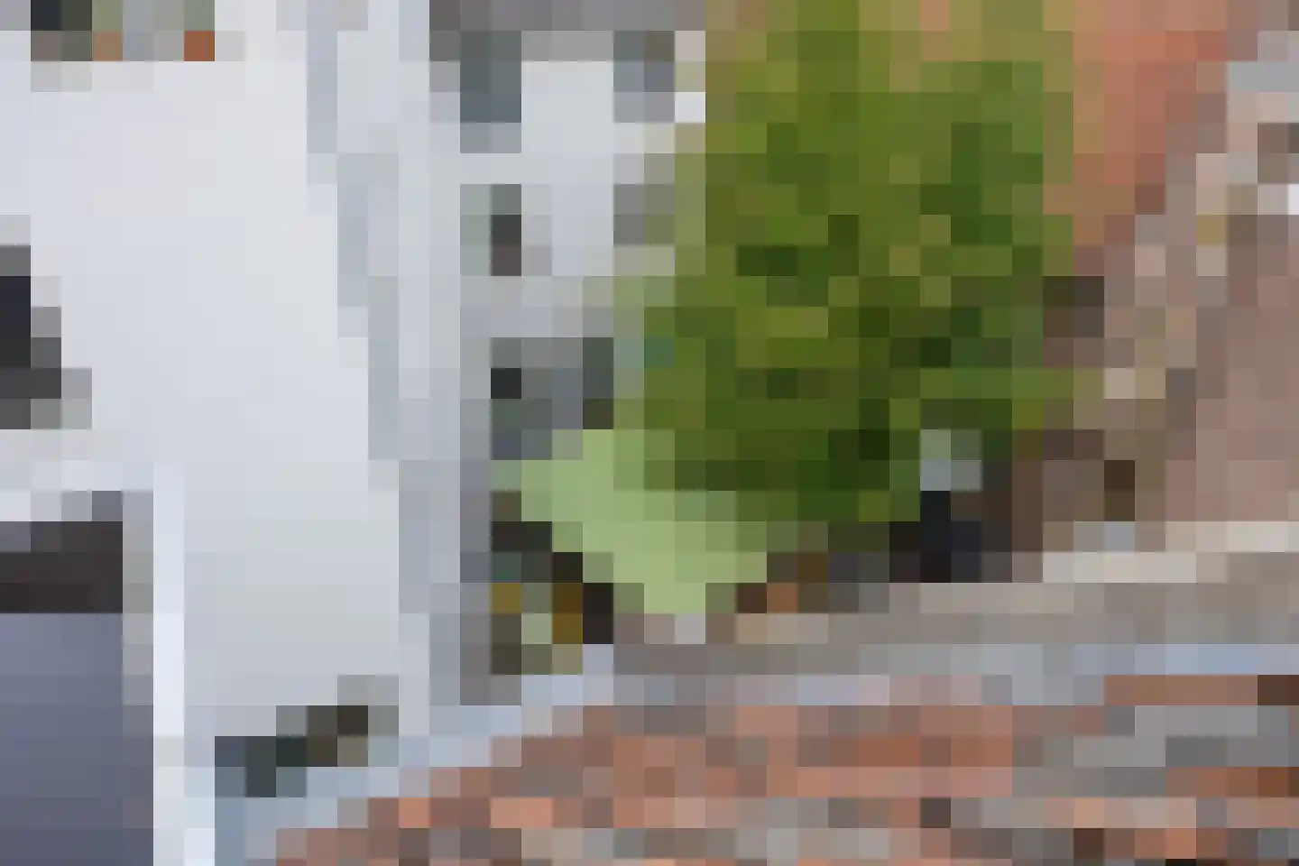 Snellestraat 21 A 's-Hertogenbosch thumbnail 21