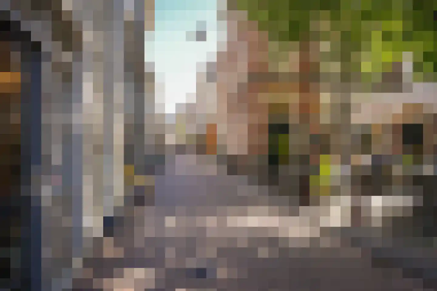 Snellestraat 40 's-Hertogenbosch thumbnail 25
