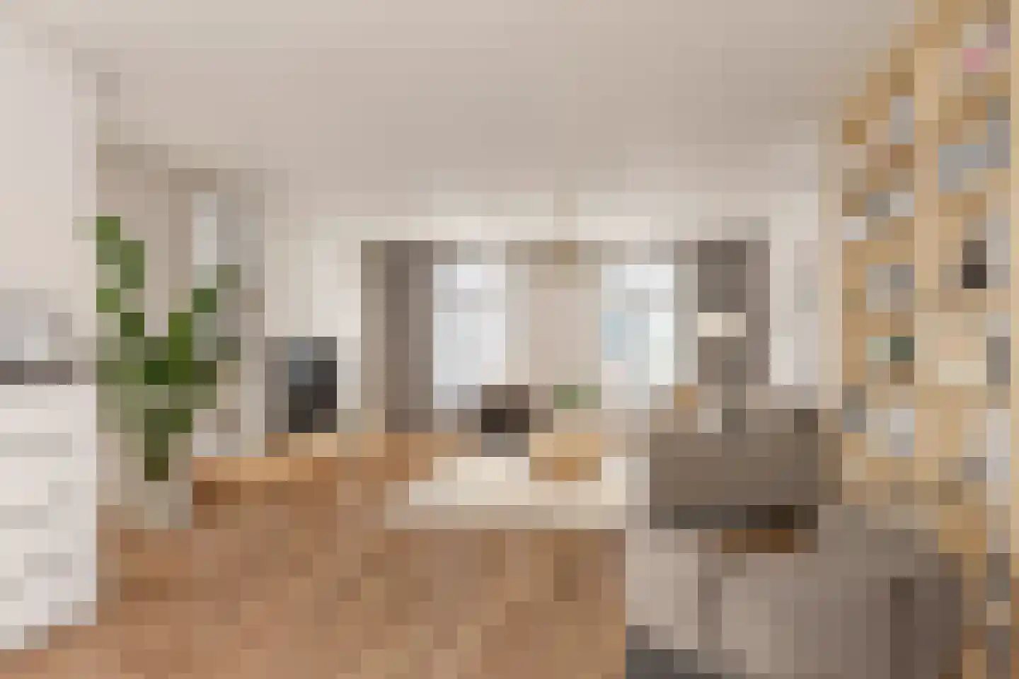 Snellestraat 46 B 's-Hertogenbosch thumbnail 16