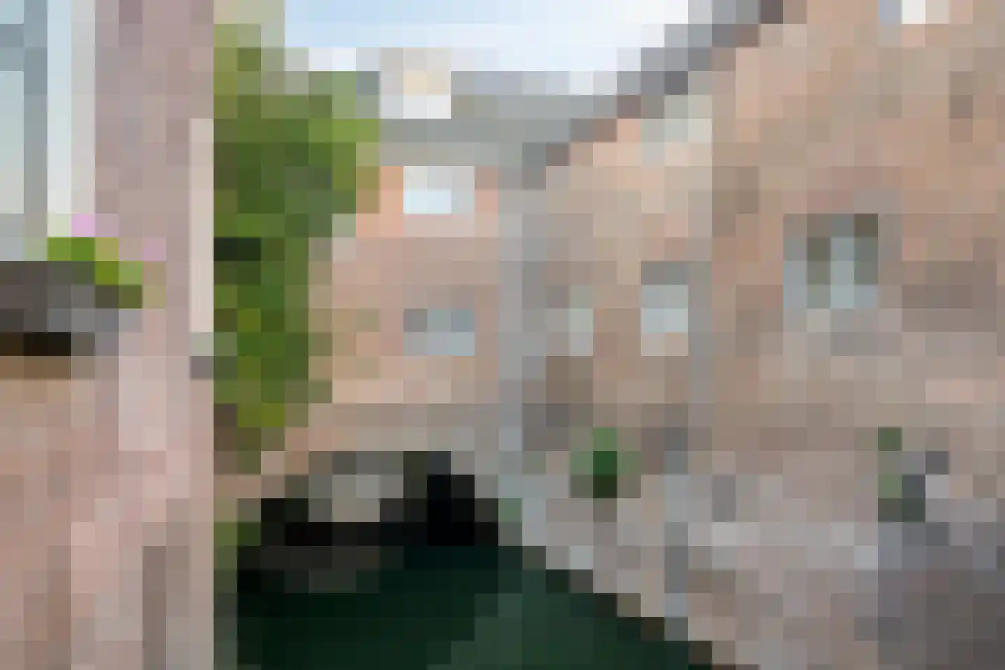 Snellestraat 46 B 's-Hertogenbosch thumbnail 38