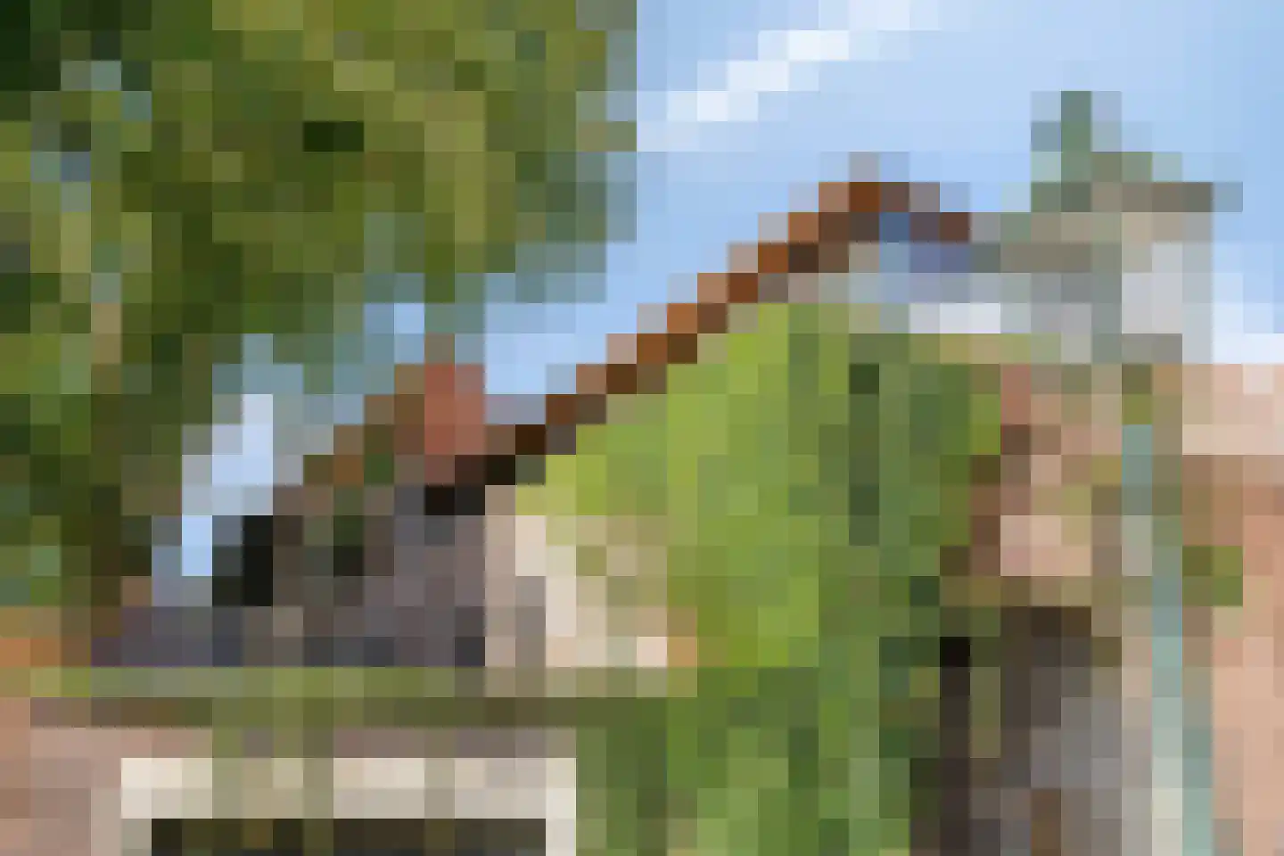 Snellestraat 46 B 's-Hertogenbosch thumbnail 41