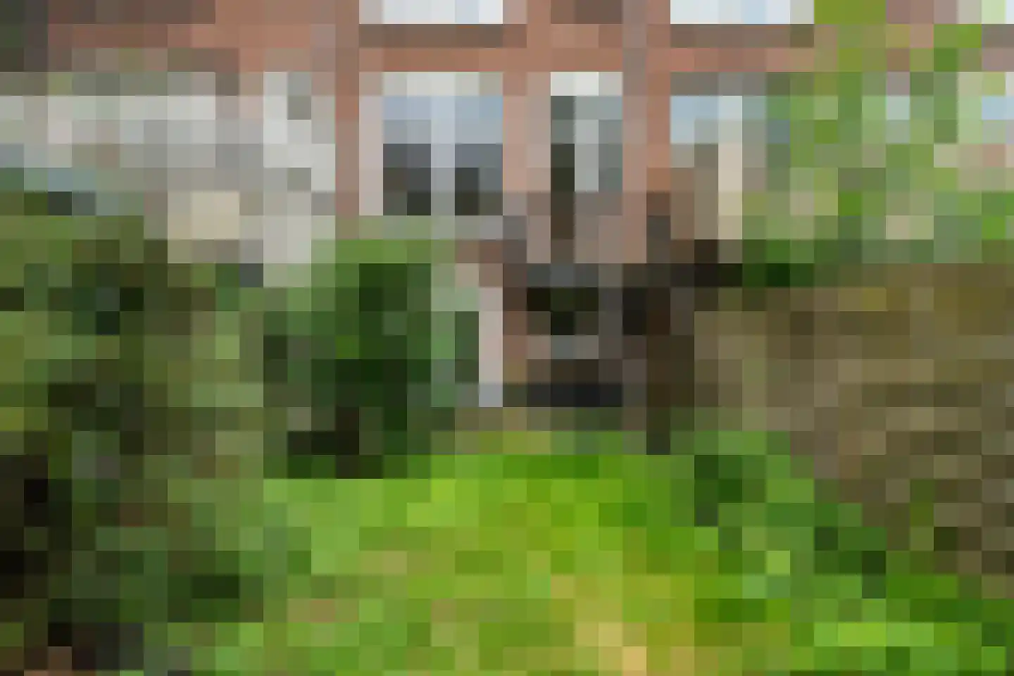 Snellinckstraat 25 A Rotterdam thumbnail 35