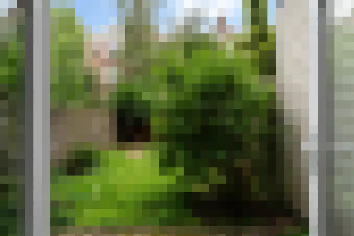 Snellinckstraat 25 A Rotterdam thumbnail 43