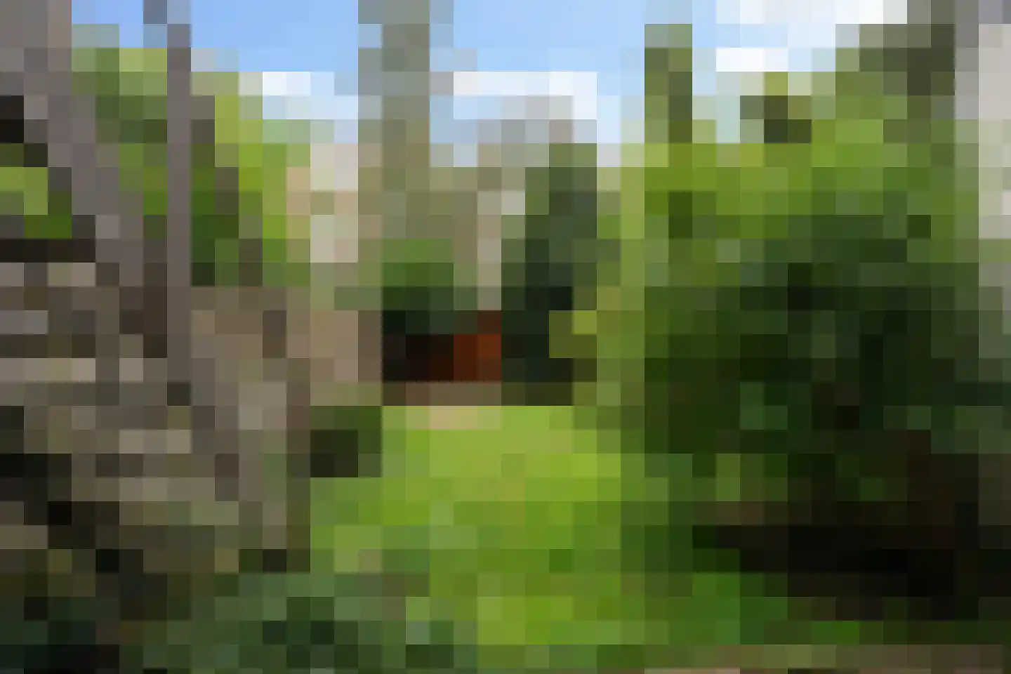 Snellinckstraat 25 B 02 Rotterdam thumbnail 39