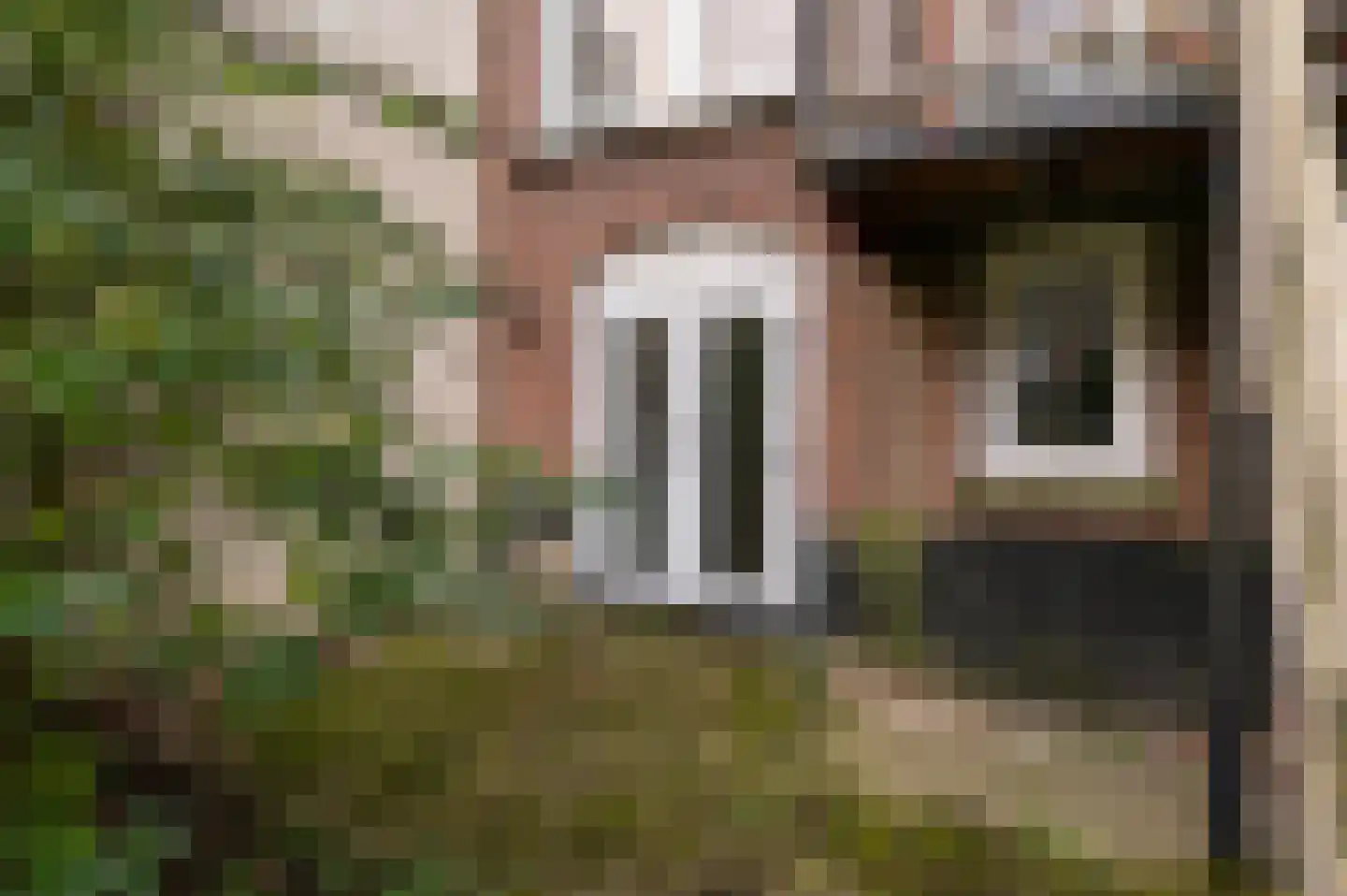 Snellinckstraat 25 B 02 Rotterdam thumbnail 44