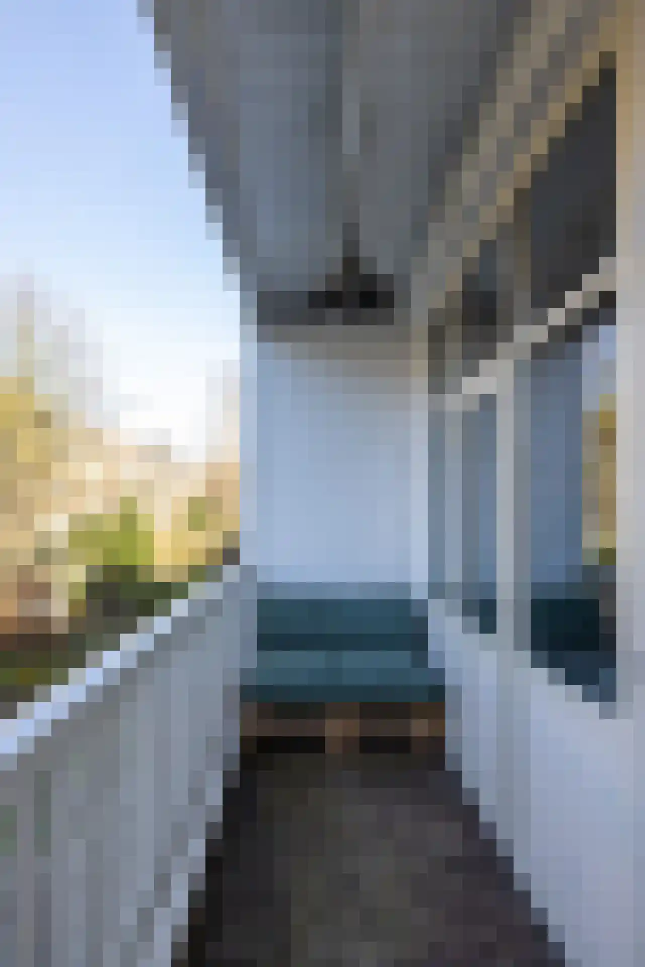 Snellinckstraat 45 Rotterdam thumbnail 14