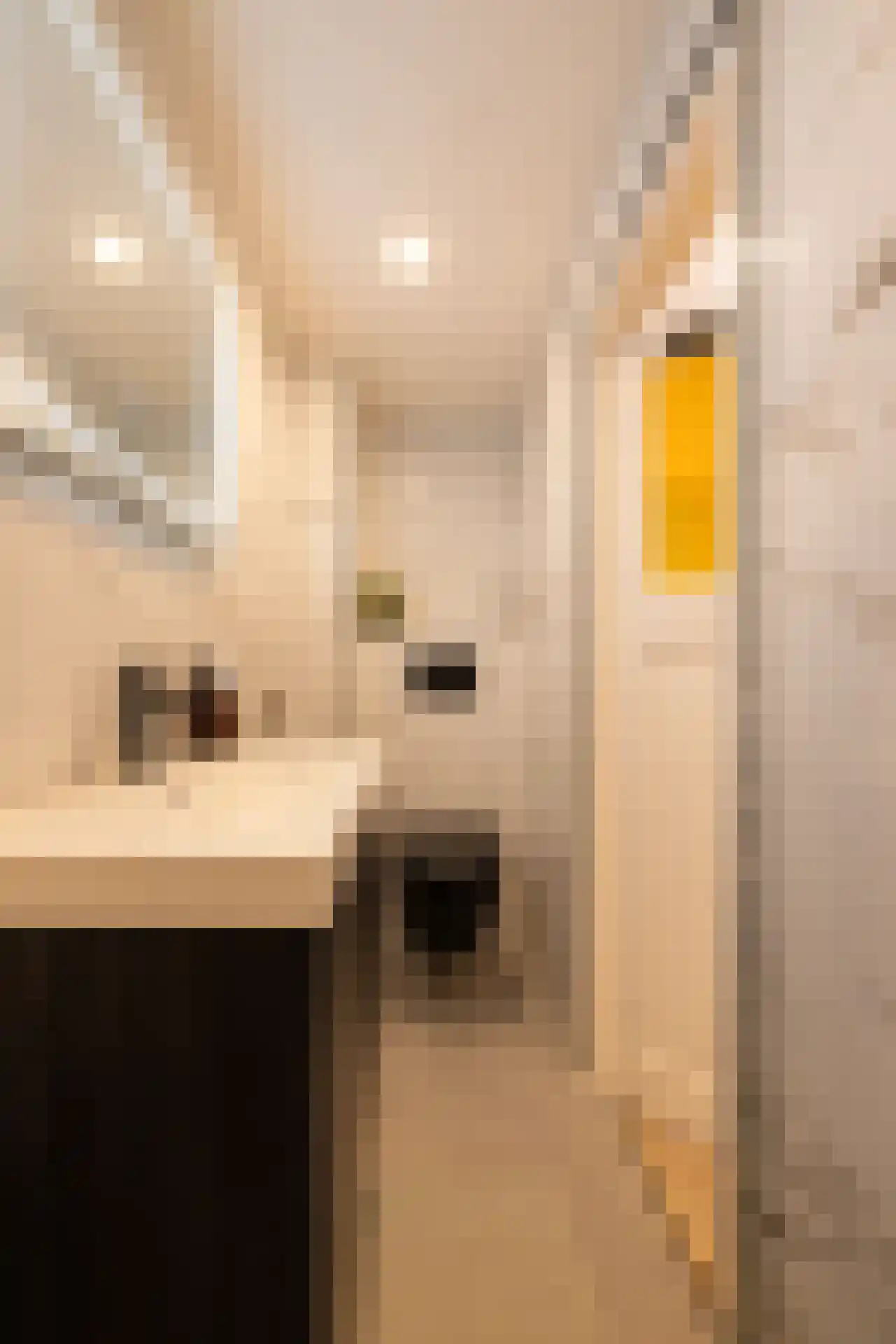 Snellinckstraat 45 Rotterdam thumbnail 30