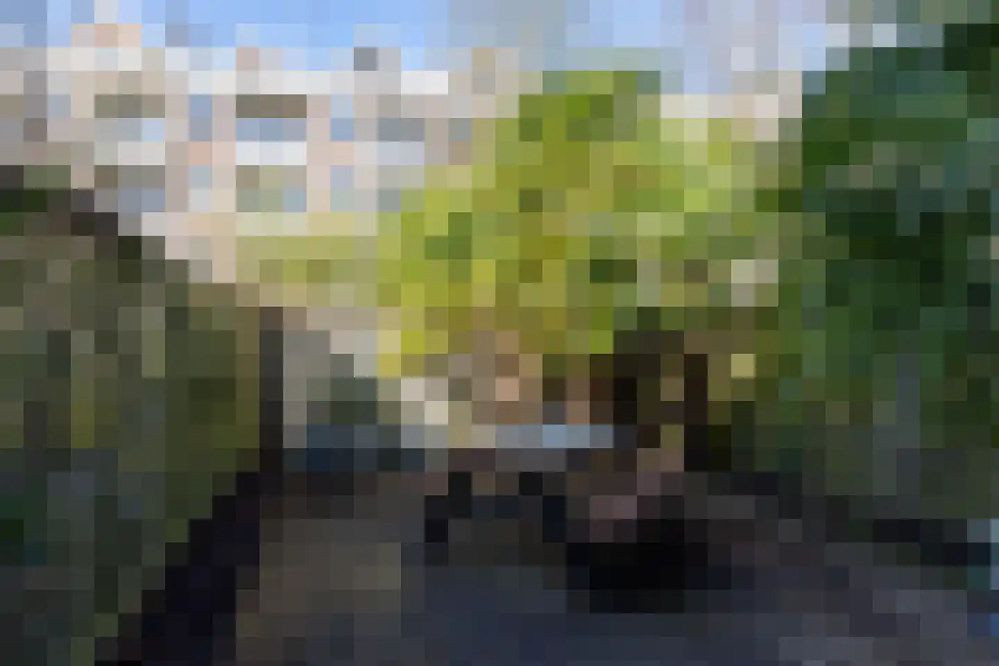 Snellinckstraat 45 Rotterdam thumbnail 35