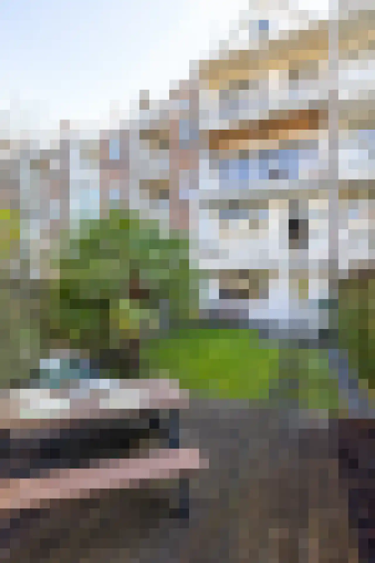 Snellinckstraat 45 Rotterdam thumbnail 36