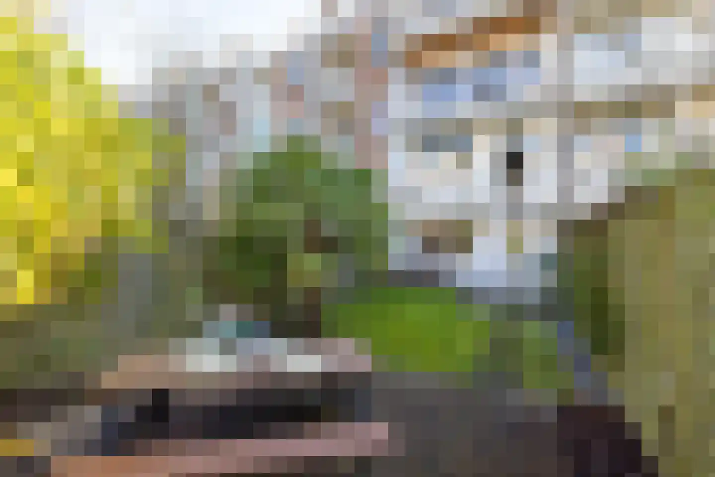 Snellinckstraat 45 Rotterdam thumbnail 5