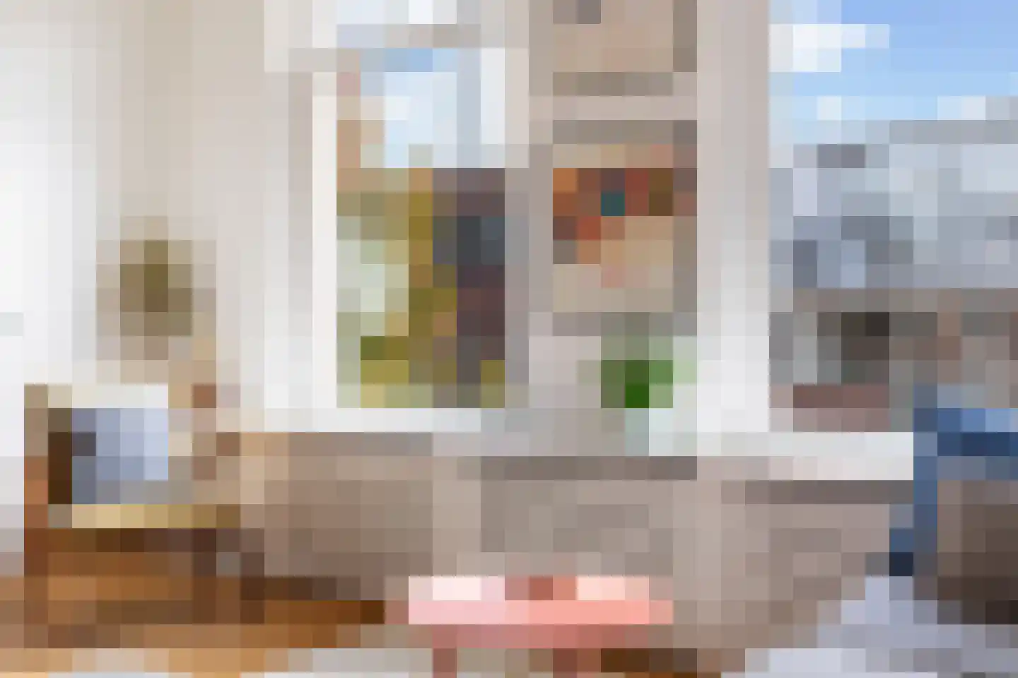 Snellinckstraat 55 B Rotterdam thumbnail 11