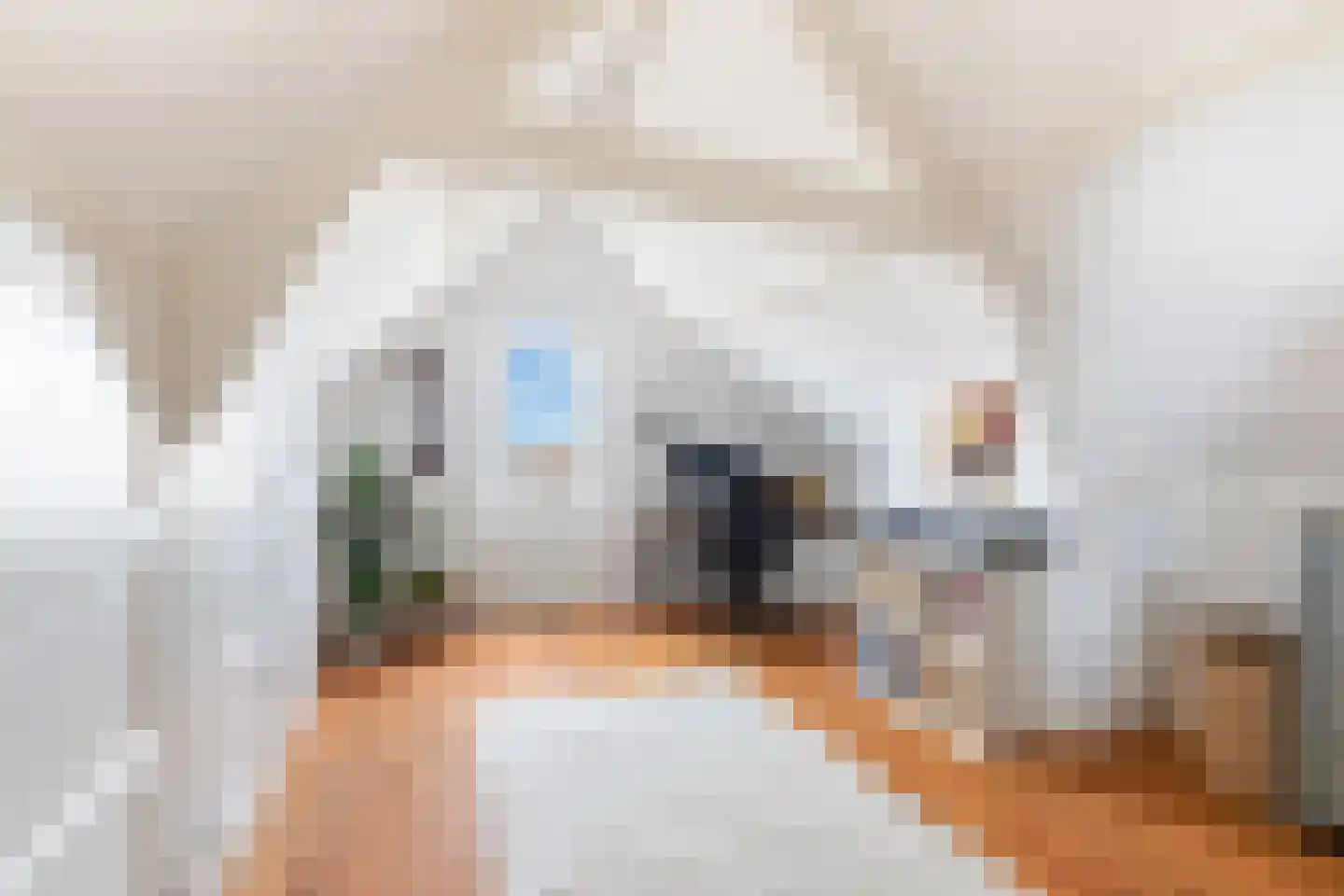 Snellinckstraat 55 B Rotterdam thumbnail 31