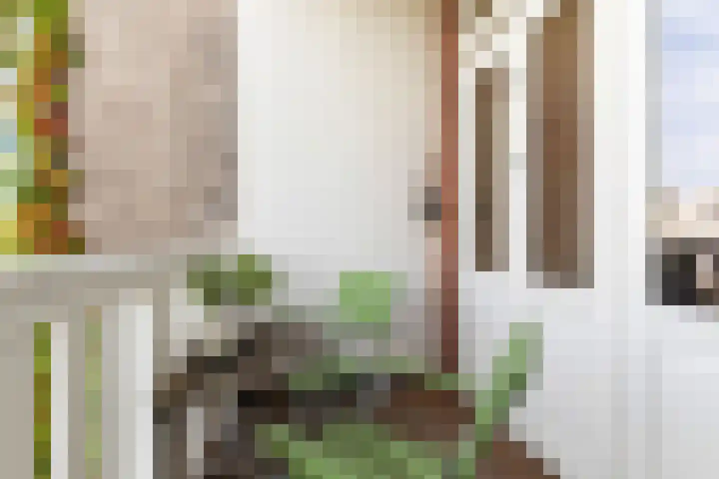 Snellinckstraat 55 B Rotterdam thumbnail 7