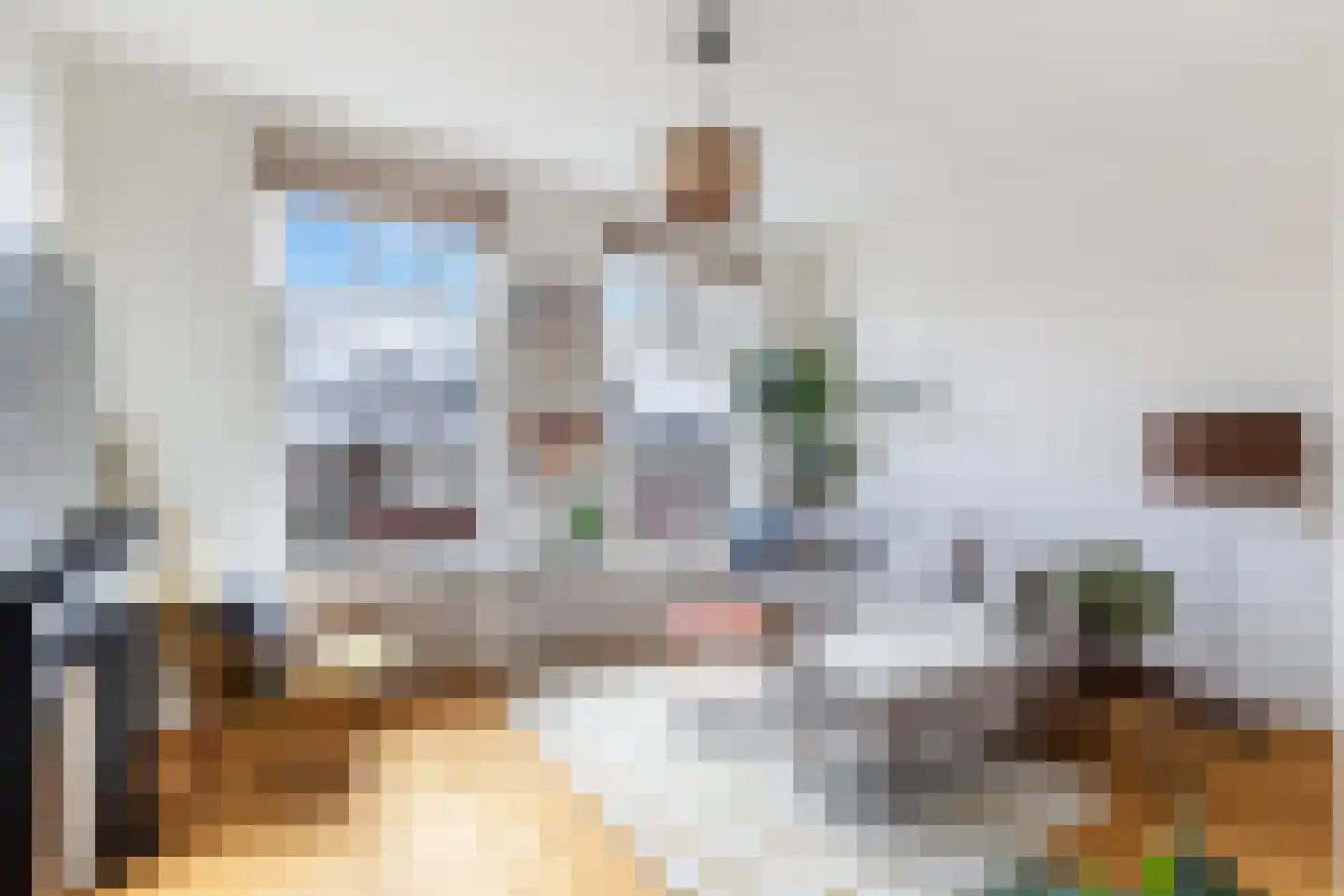 Snellinckstraat 55 B Rotterdam thumbnail 8