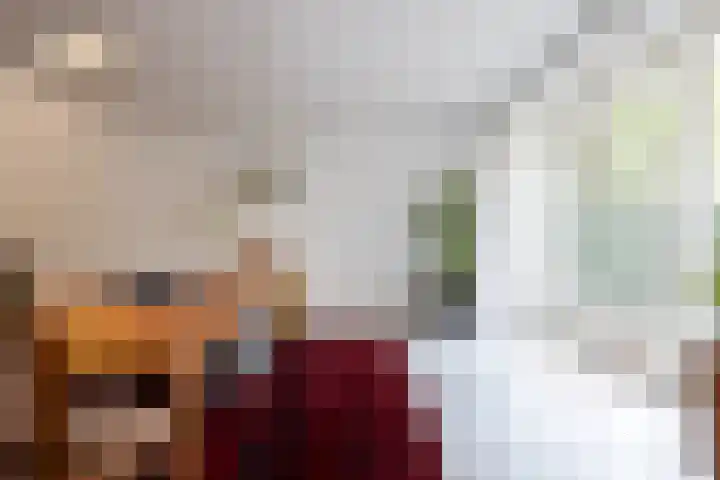 Snellinckstraat 9 A Rotterdam thumbnail 10