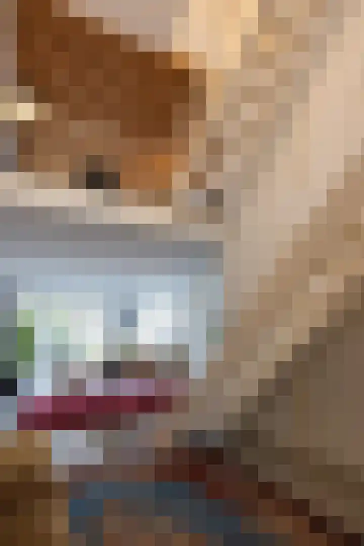 Snellinckstraat 9 A Rotterdam thumbnail 47