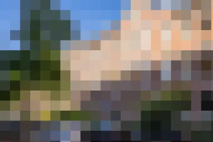 Snellinckstraat 9 A Rotterdam thumbnail 5