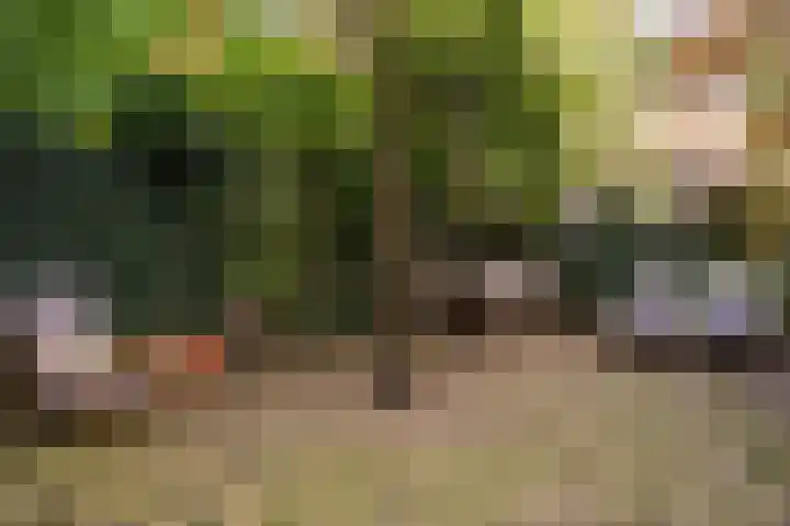 Snellinckstraat 9 A Rotterdam thumbnail 50