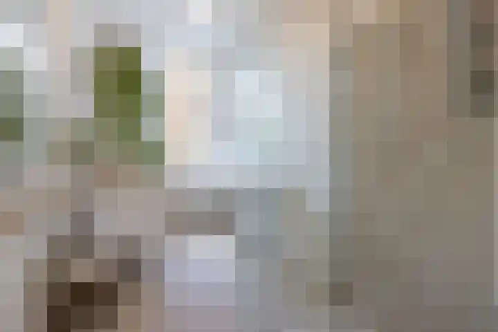 Snellinckstraat 9 A Rotterdam thumbnail 55