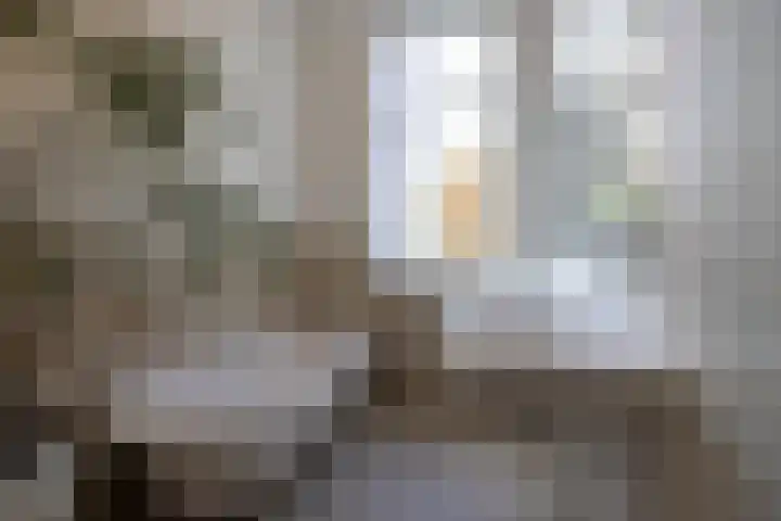 Snellinckstraat 9 A Rotterdam thumbnail 58