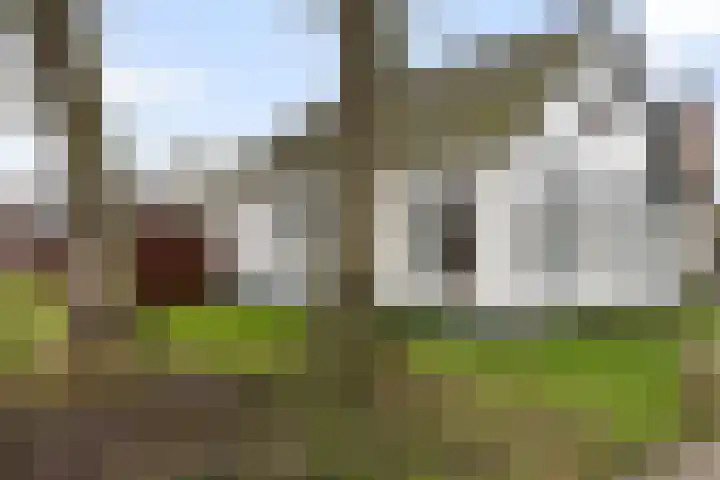 Snellingerdijk 40 Oosterwolde thumbnail 32