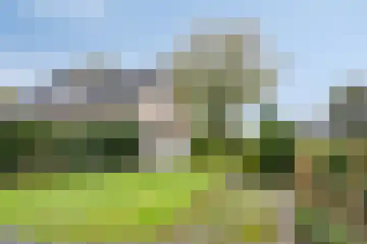 Snellingerdijk 65 Oosterwolde thumbnail 32