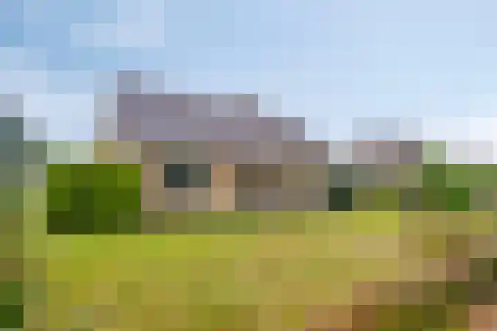 Snellingerdijk 65 Oosterwolde thumbnail 7
